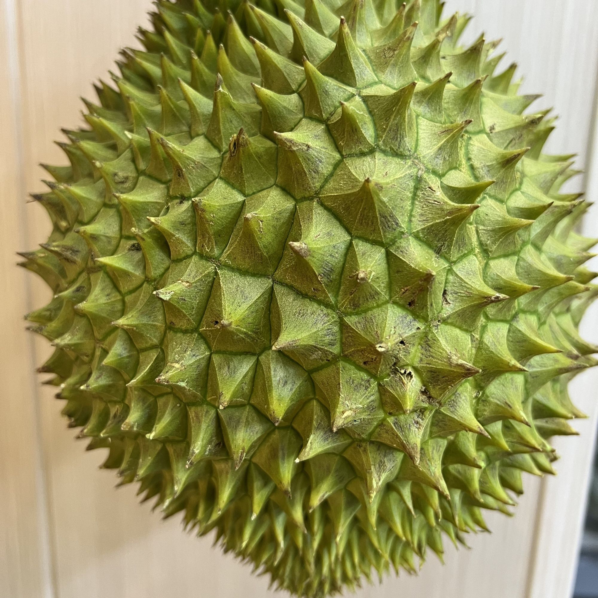 【整果】小金腰进口真正树熟正宗新鲜越南一级AA果一果一重包黄肉核小 惠州榴莲小时达干尧越南