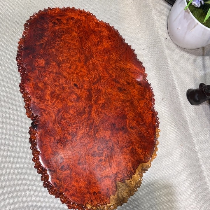 别***头大果紫檀（缅甸花梨）