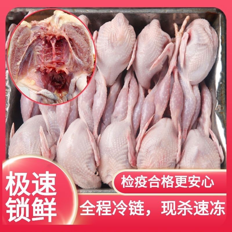 10只新鲜鹌鹑肉【单只2两】当天现杀放血老母鹌鹑偏远地区慎拍