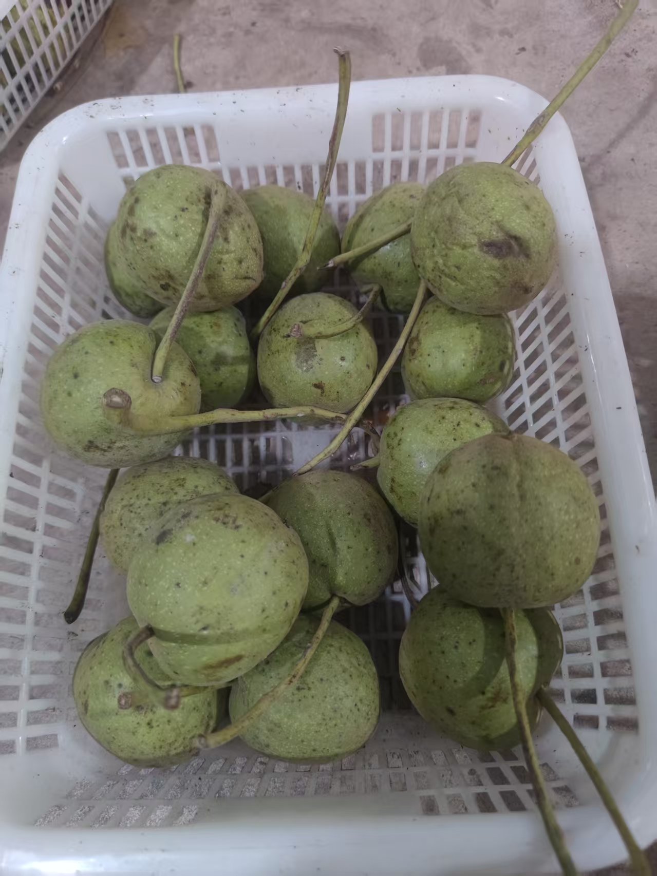 鸡心尾单包圆18个