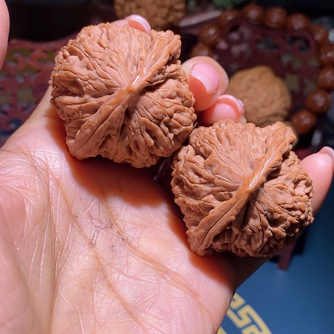 文玩核桃把件45水龙纹