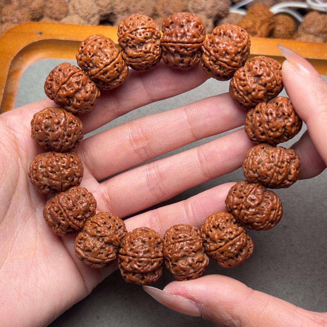 菩提24号金刚菩提纽扣梅花21