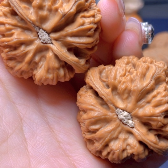 文玩核桃吊坠东***士粗筋