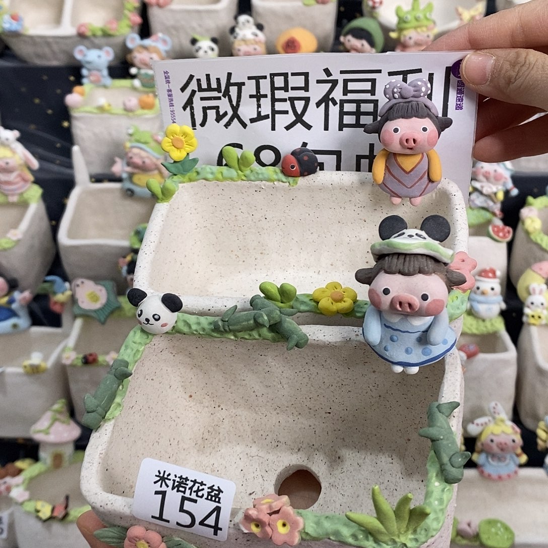 米诺多肉植物花盆154