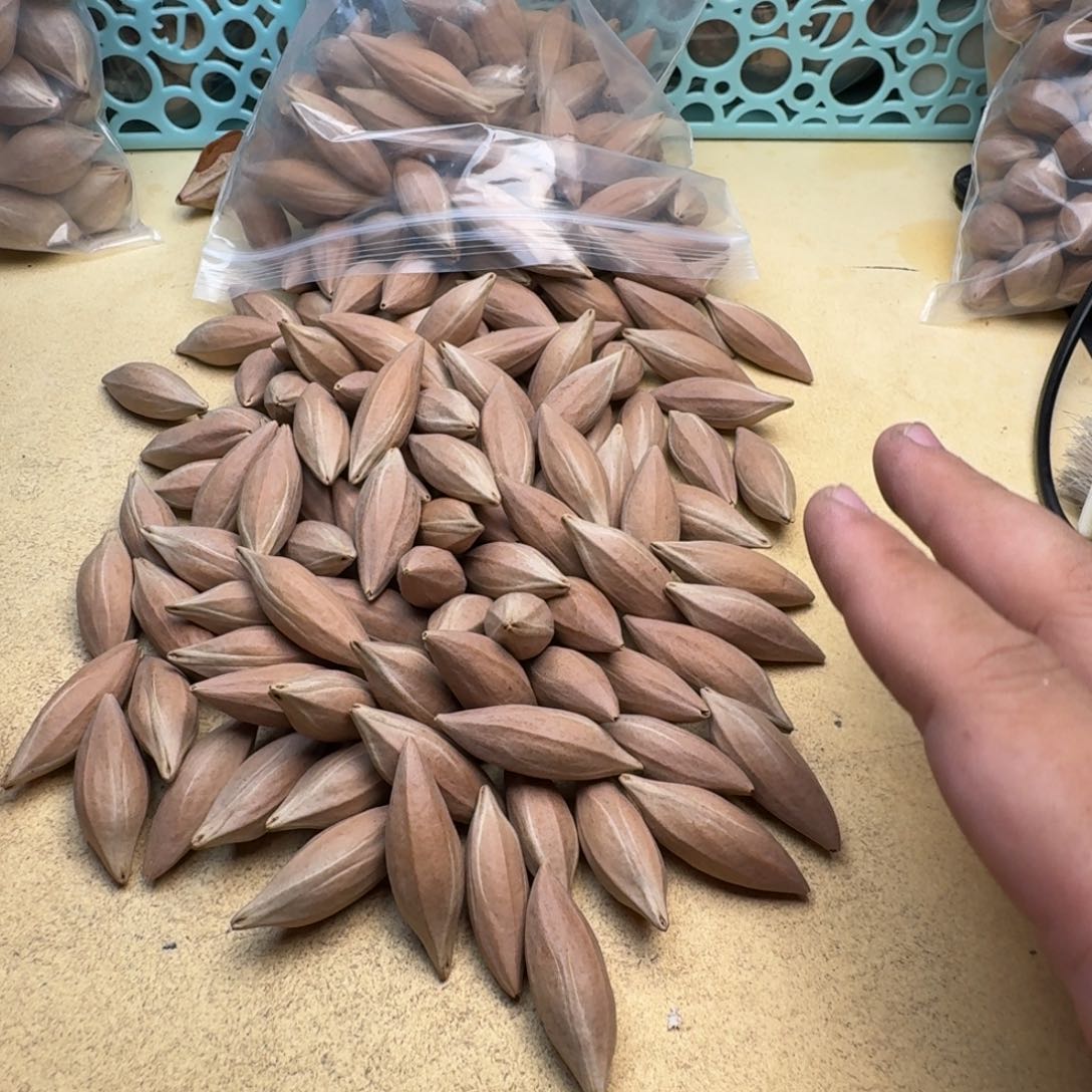 军***橄榄核手串/手链1