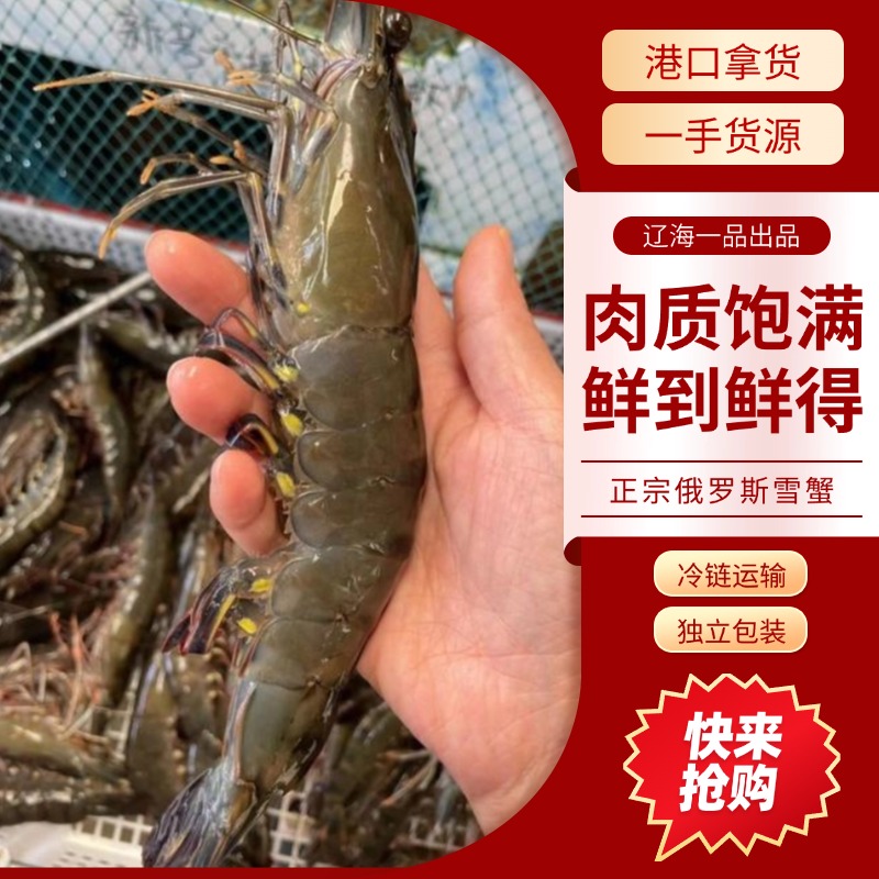 【年货明星】越南6~8头黑虎虾肉质饱满送人送礼鲜到鲜得3斤起