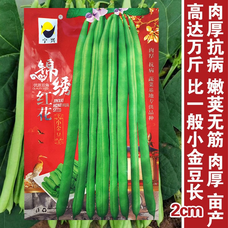 云贵川小金豆种子豆仁甜脆青豌豆种籽春四季豆蔬菜孑农用豆角籽种