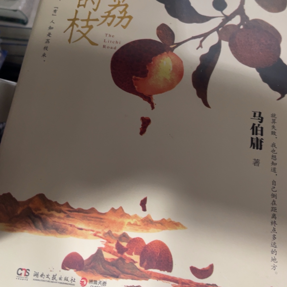 长安的荔枝精装一个