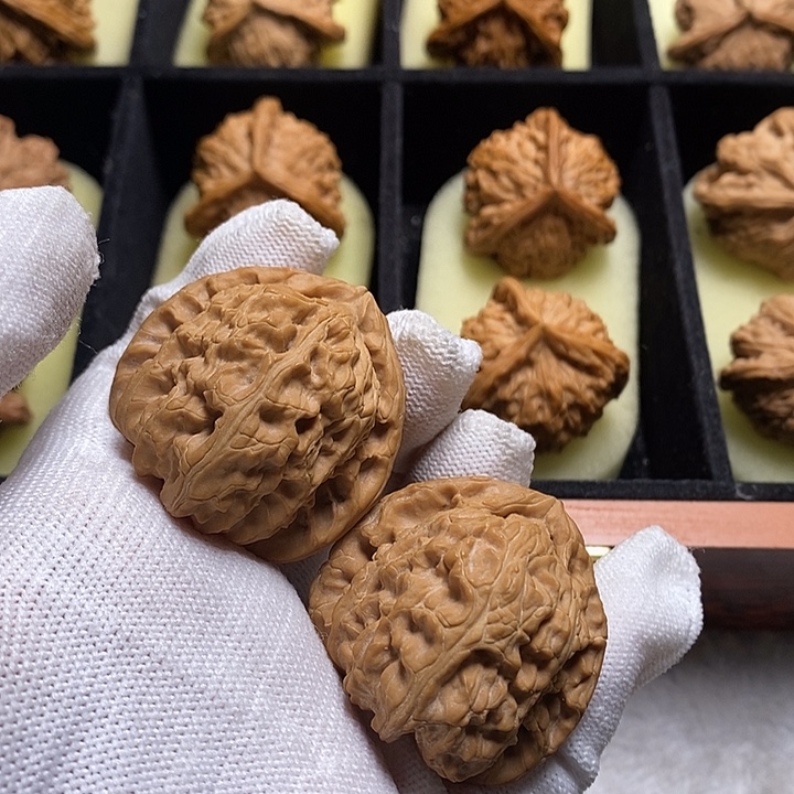 朽***丶三角白39得得得得得得