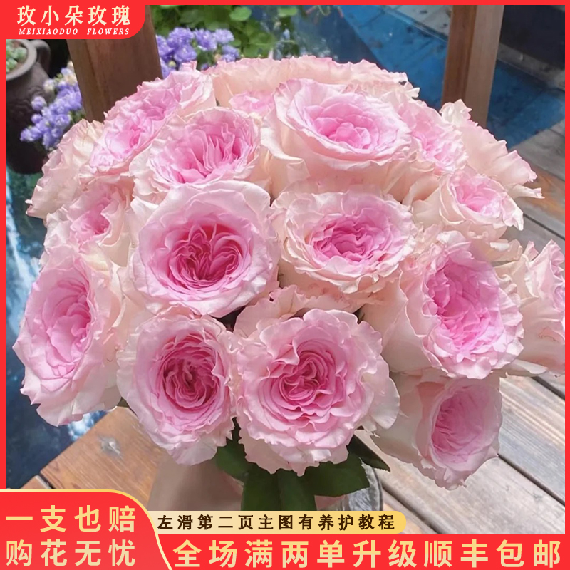 【北方玫小朵玫瑰&洛神】家用鲜花花期持久产地直发