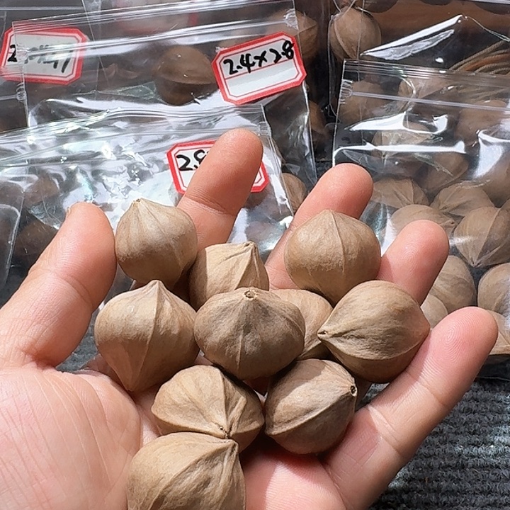 吊坠橄榄核2.8❌2.9