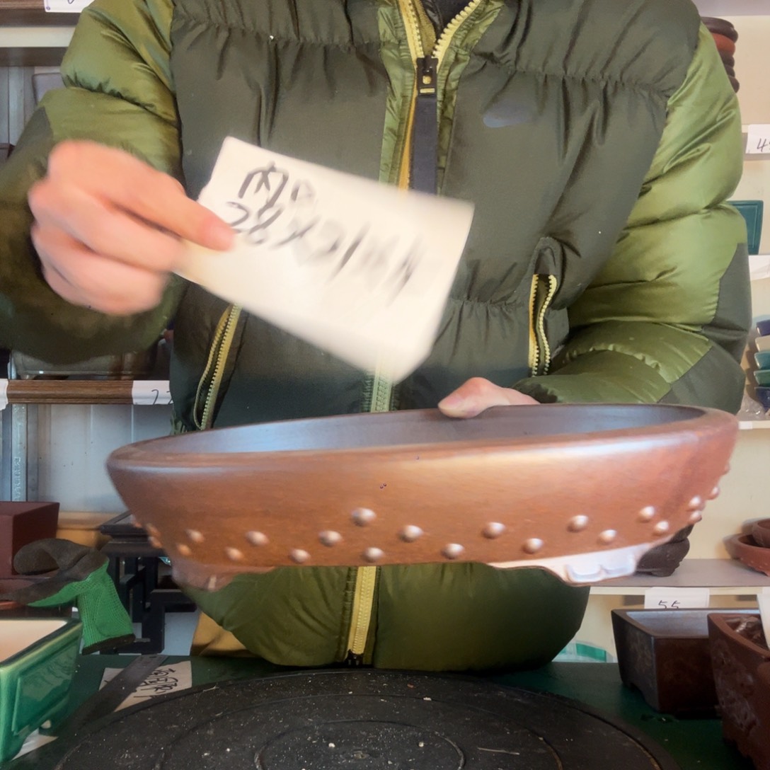 好规范非常v与哦旧病复发