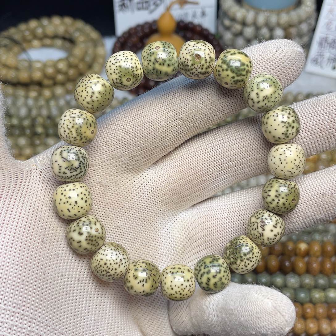 星月菩提吊坠13×12尺寸，开播福利，有缩尺