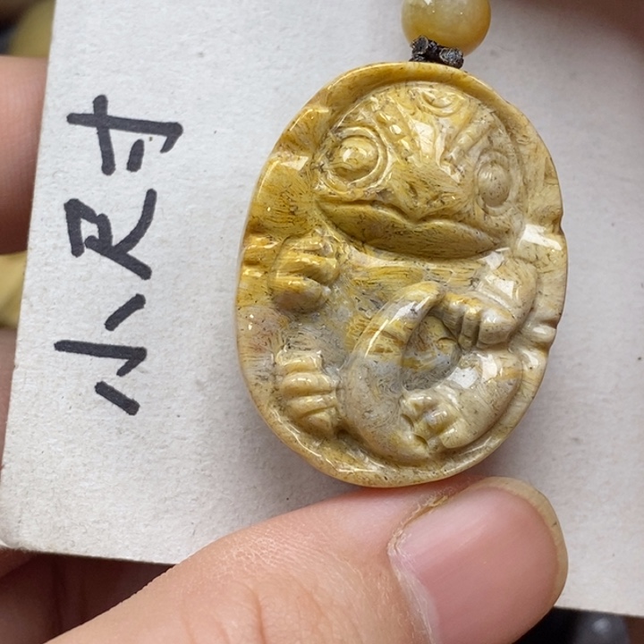 硅化珊瑚（珊瑚玉）未镶嵌颈饰