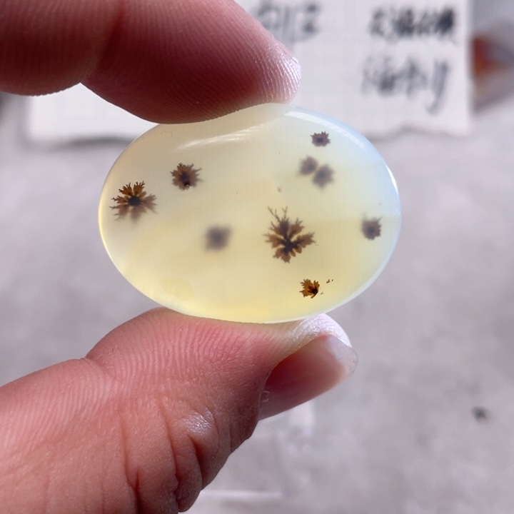 【闪购商品】玛瑙/玉髓颈饰未镶嵌