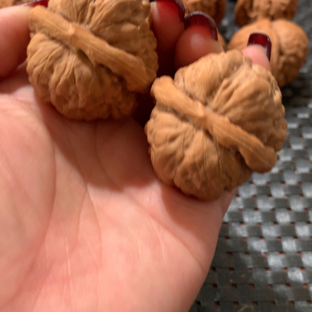 文玩核桃把件蛤蟆头