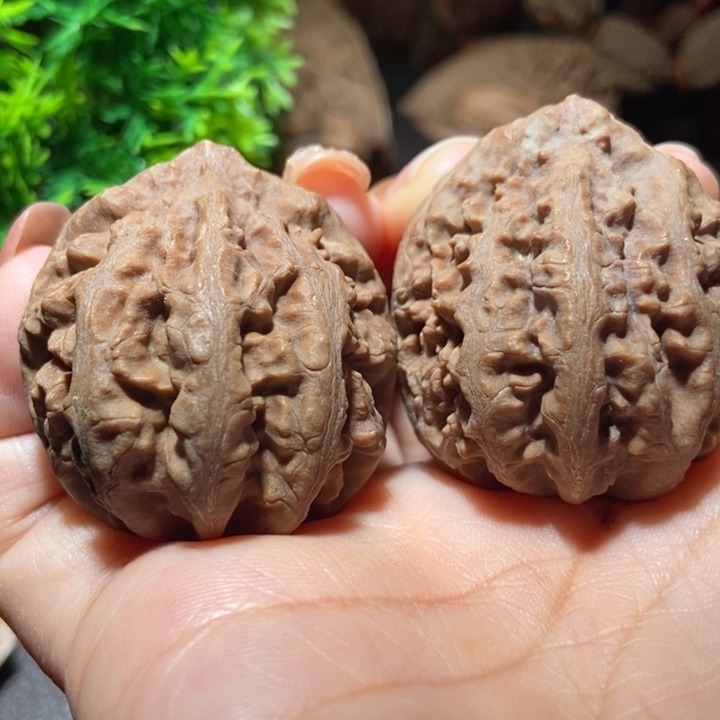 把件文玩核桃东北楸子小雪23