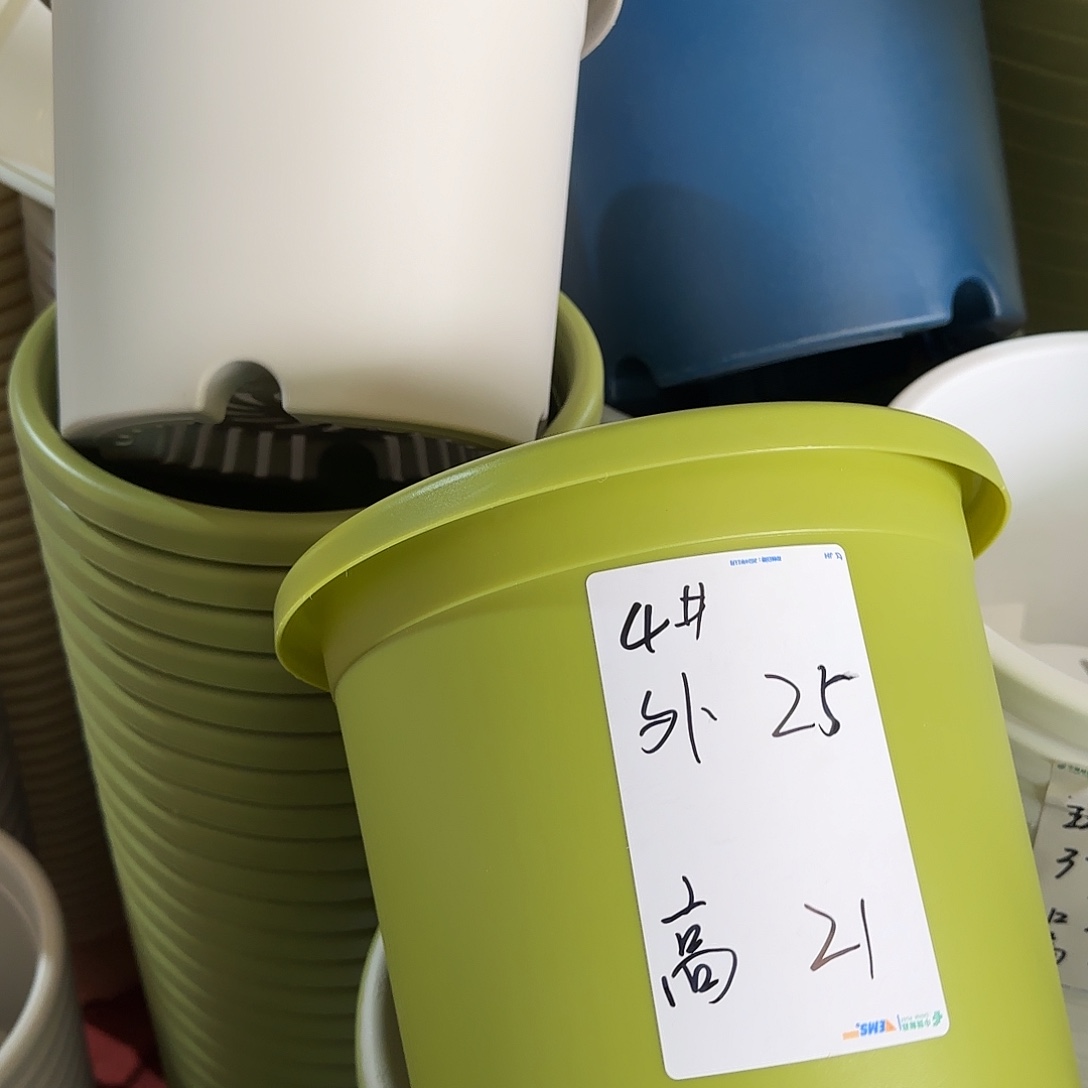 树脂四季4号无托8个果绿微瑕