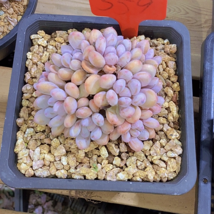 是吗这不比以前还