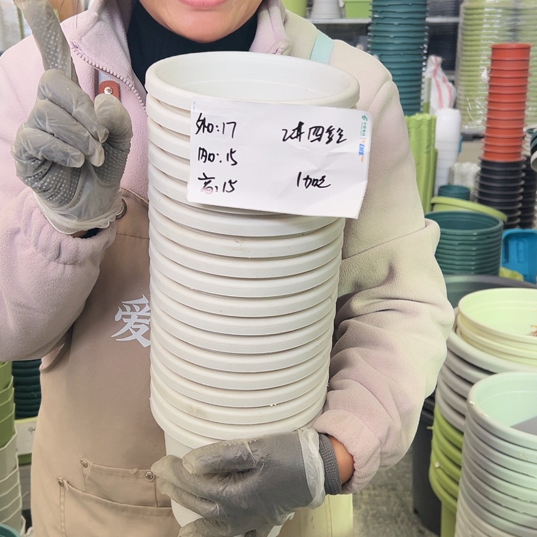 四季盆2#白色10个无托