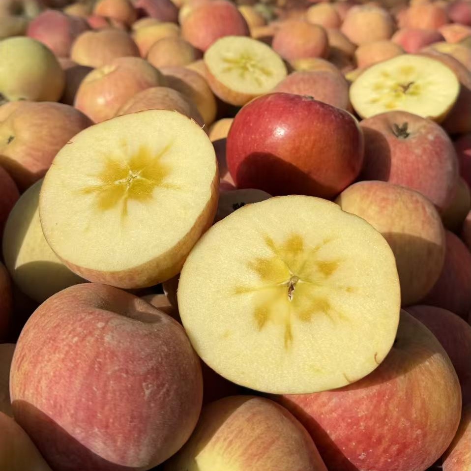 【新疆直发】新疆阿克苏苹果冰糖心脆甜精选