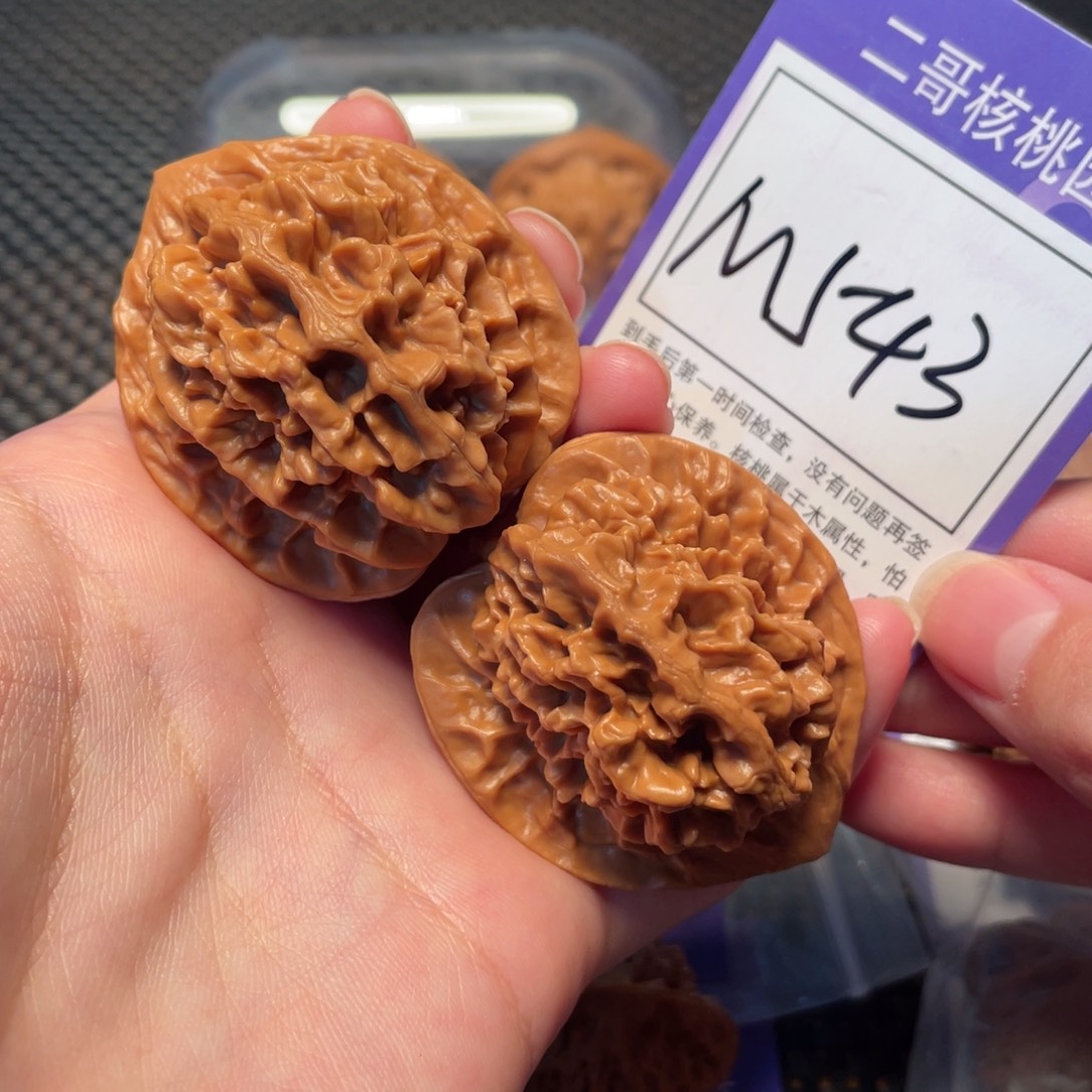 把件文玩核桃M543号帝王42
