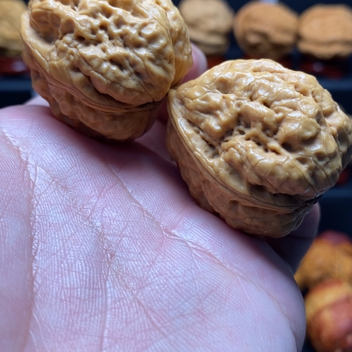 把件文玩核桃36箭毒蛙