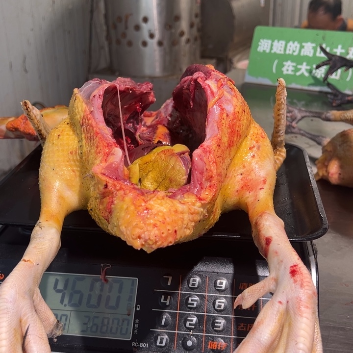 一号母鸡➕鸭子食用农产品中国大陆玲*