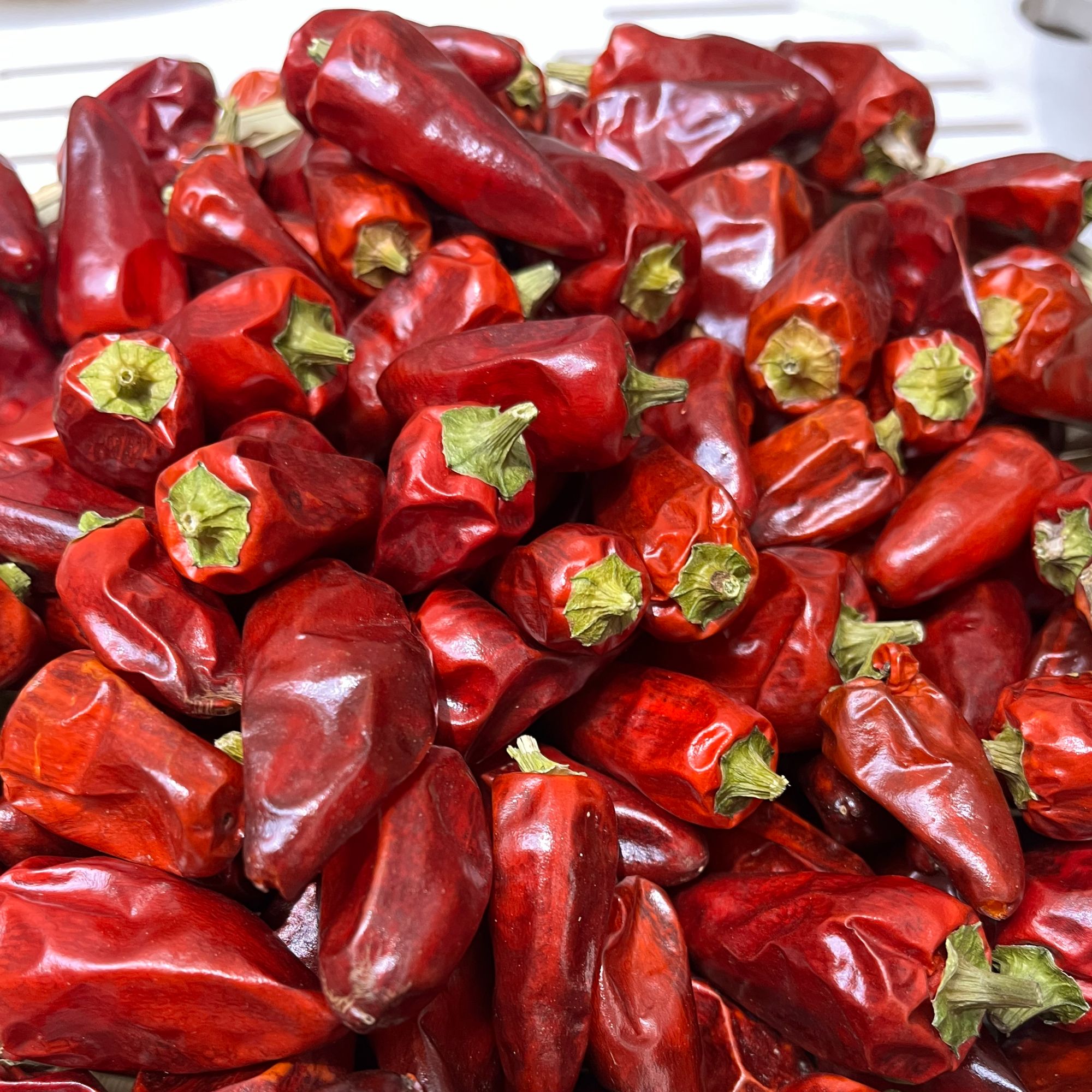 特香子弹头（中辣）贵州干辣椒油辣椒辣子鸡专用