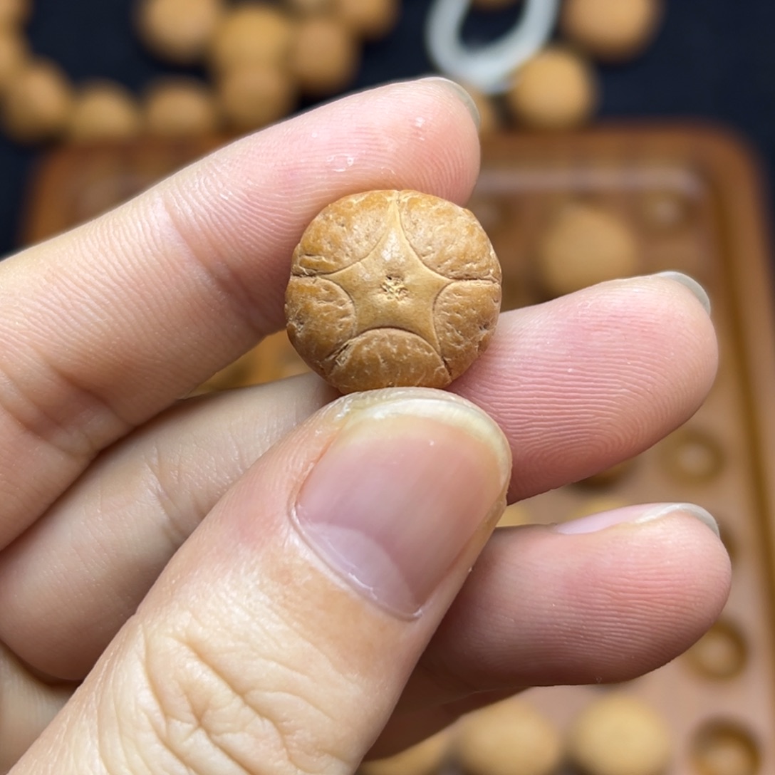 凤眼菩提手串17.6五星上将