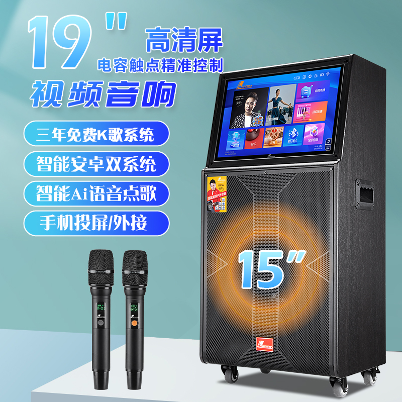 丹唛仕K歌音响重低音广场舞带显示屏移动KTV大功率唱歌直播音箱