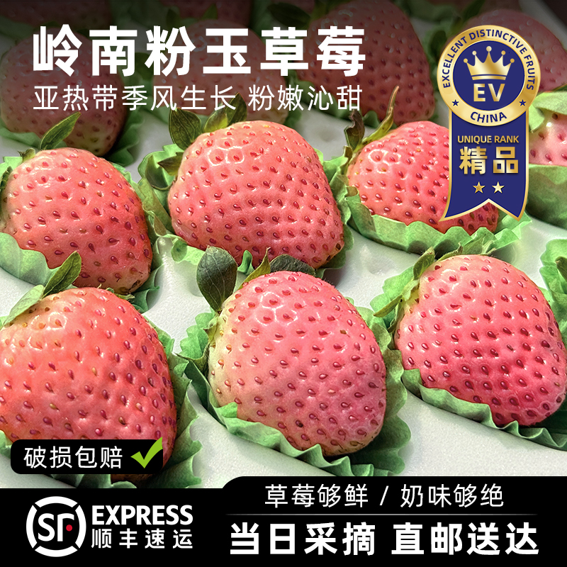 【当日采摘/顺丰空运】云南粉玉草莓新鲜淡雪白草莓特大果送女朋友n