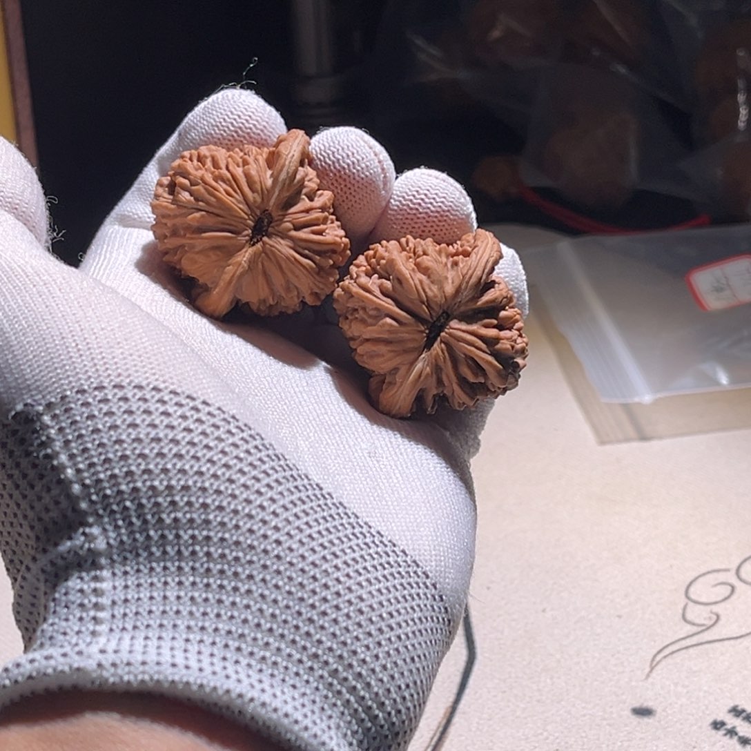 风***尔楼子楼子 留着 楼子。