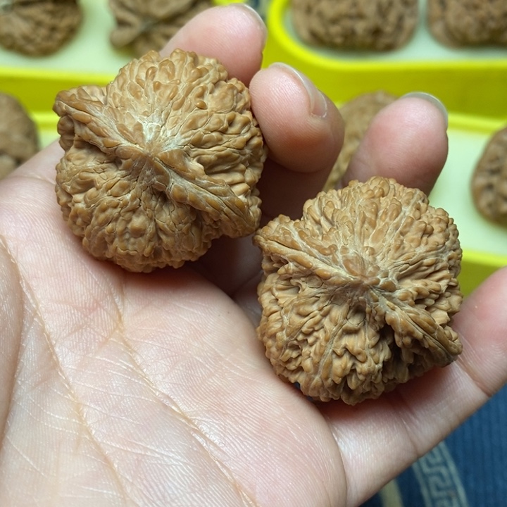 文玩核桃满天星38