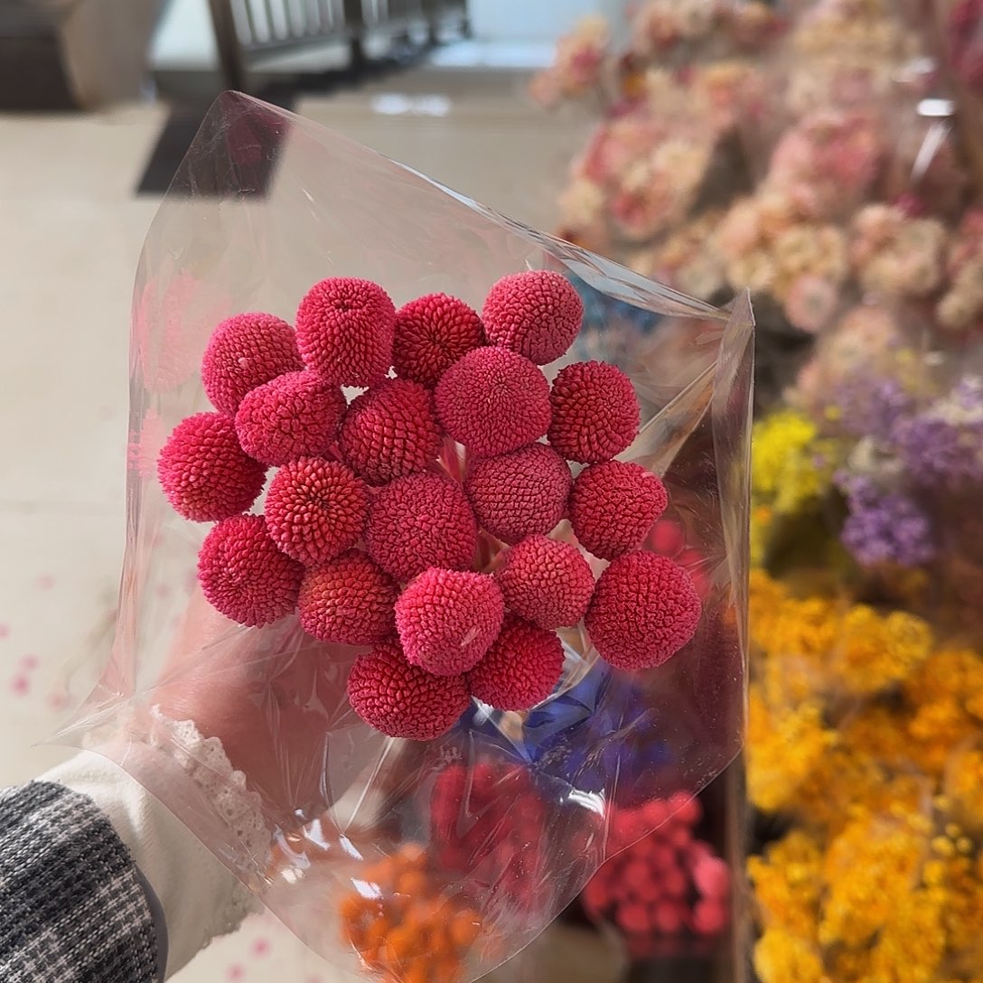 婉***宁H80号玫红色黄金球