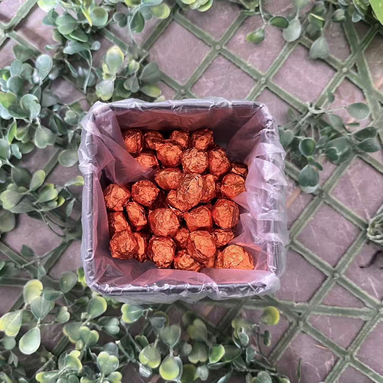 雨腾古茶  W能 YW仙C集“Q套 JGM络”万B仙D L时S变77g/盒（12月2）