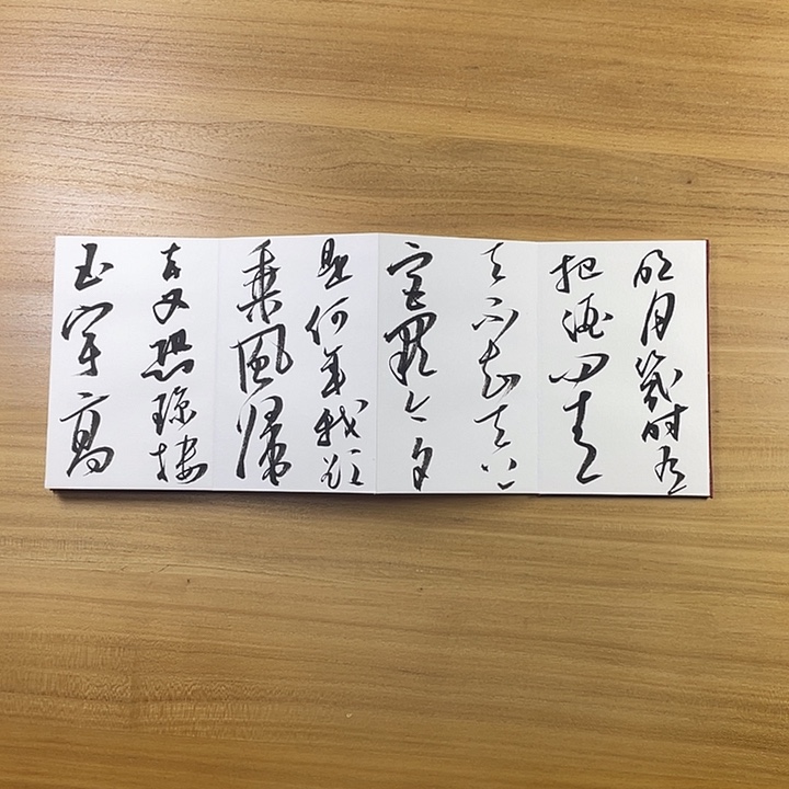 书法中书协会员作品