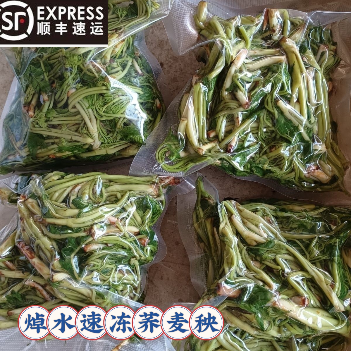 东北野生荞麦秧山野菜焯水速冻顺丰