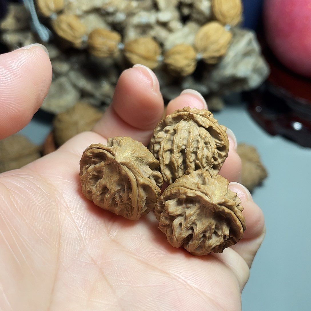 核桃手串/手链精品野生小飞蛇