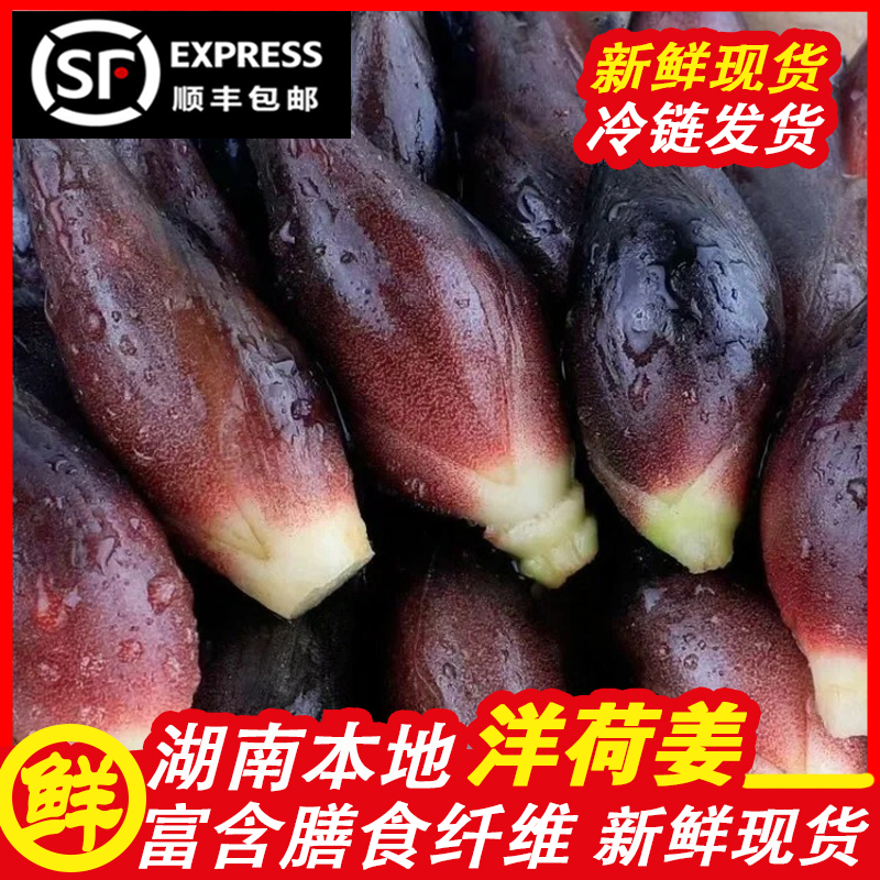 湖南贵州新鲜洋荷姜精选农家鲜嫩可凉拌的蔬菜顺丰包邮