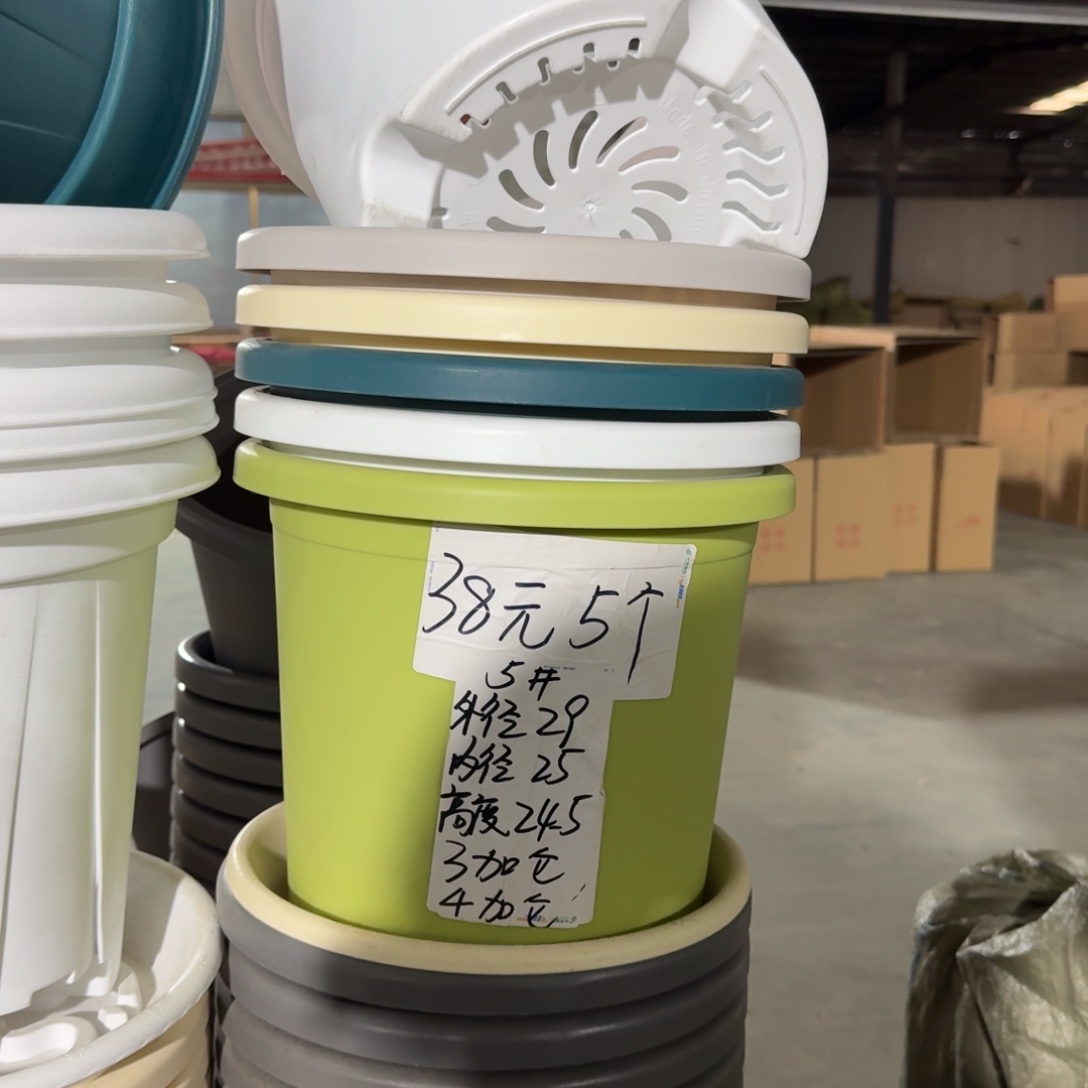 四季5#口径29无拖果绿10个