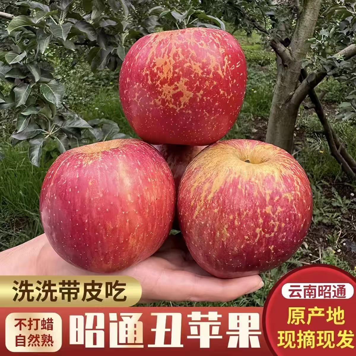 云南昭通冰糖心丑红富士苹果新鲜现摘脆甜多汁应季水果