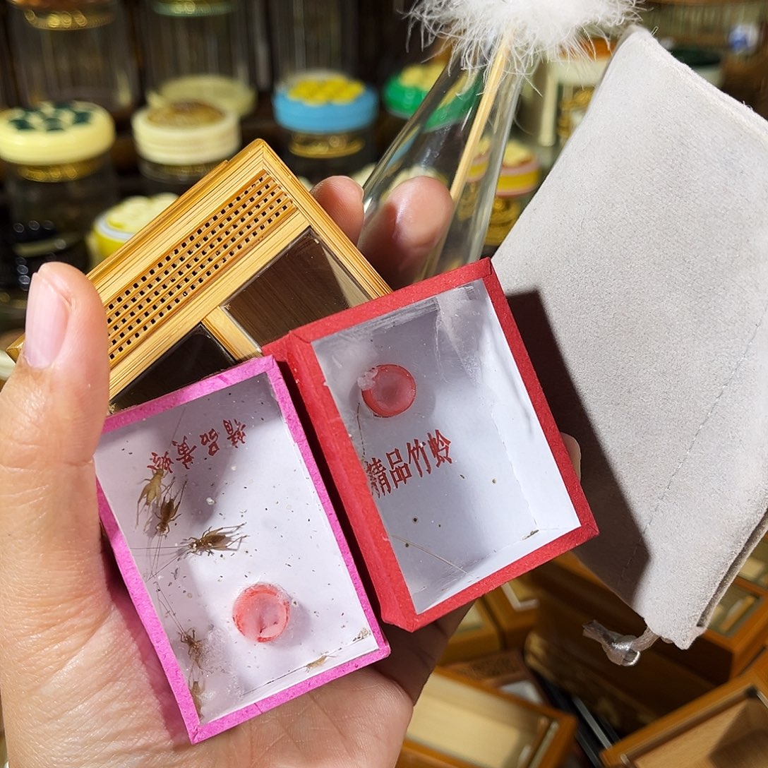 蟋蟀老竹竹蛉盒+竹蛉+小黄蛉+布套+过虫器