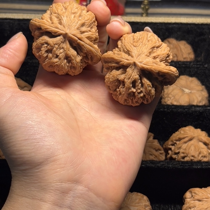 文玩核桃把件大粗筋全品48