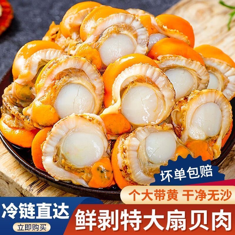 新疆可发大大号扇贝肉 去壳无泥无沙 带膏带黄 250g/包