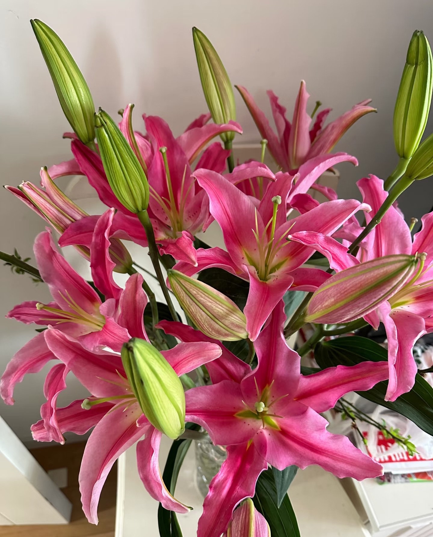 【一单包邮】西诺红香水百合【三单升级京东或顺丰】 云南基地直发