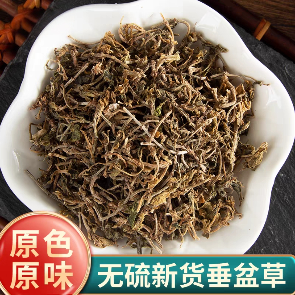 垂盆草新货精选垂盆草干鸡屎藤鱼腥草艾草马齿苋泡水泡茶搭枸杞