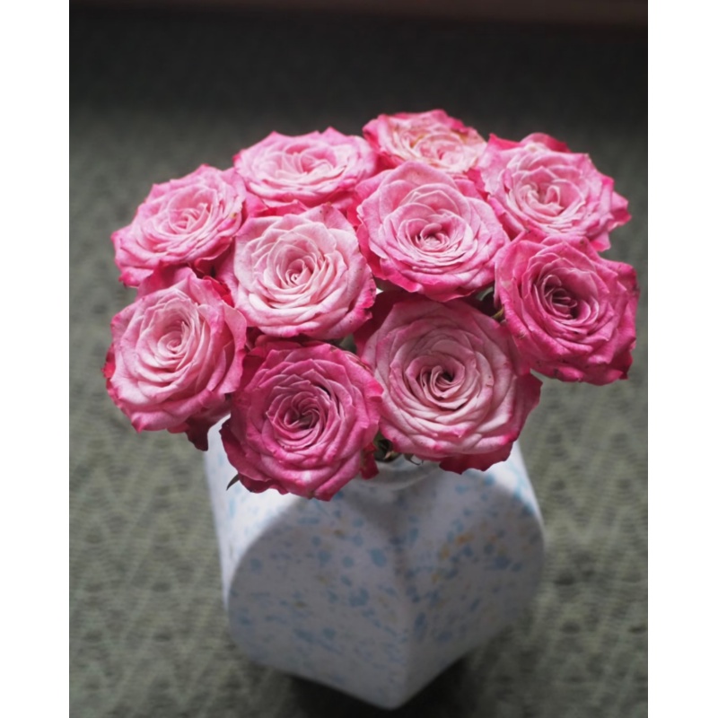 【粉色经典】多头玫瑰   真花 鲜切花 云一单中通 拍够任意两单鲜花