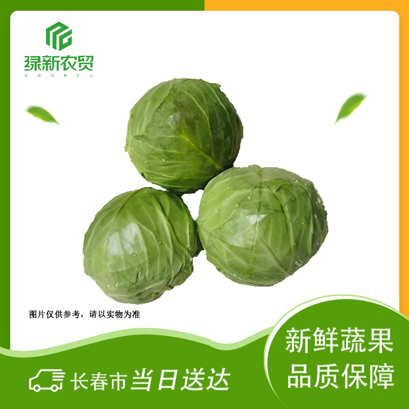 Z 绿甘蓝 1250±50g/份甘蓝
