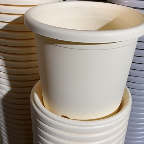 树脂四季4#无托米黄6个